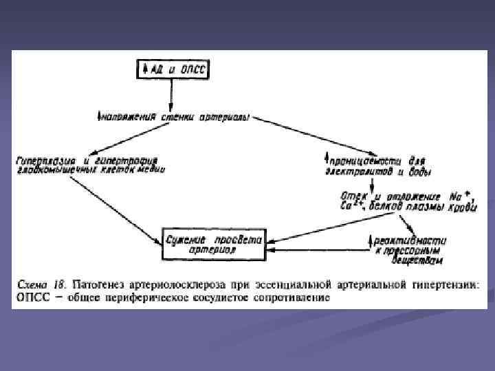 Патофизиология в схемах и таблицах нурмухамбетова