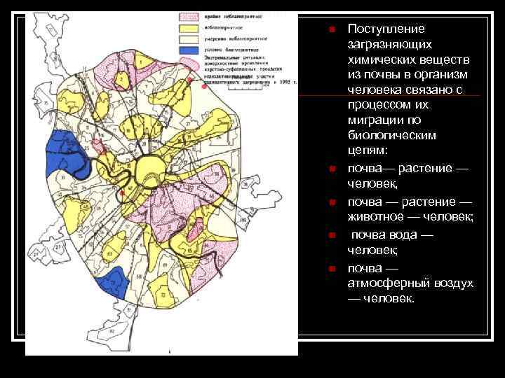 n n n Поступление загрязняющих химических веществ из почвы в организм человека связано с