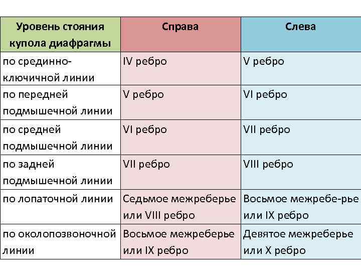 Уровень стояния купола диафрагмы Справа Слева по срединно. IV ребро ключичной линии по передней