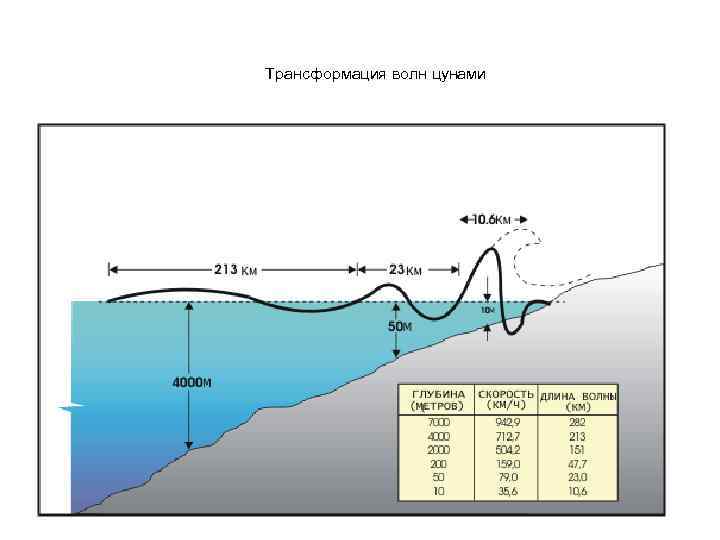 Трансформация волн цунами 
