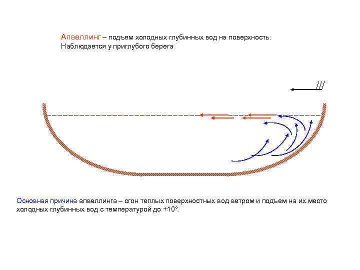 Апвеллинг – подъем холодных глубинных вод на поверхность. Наблюдается у приглубого берега Основная причина