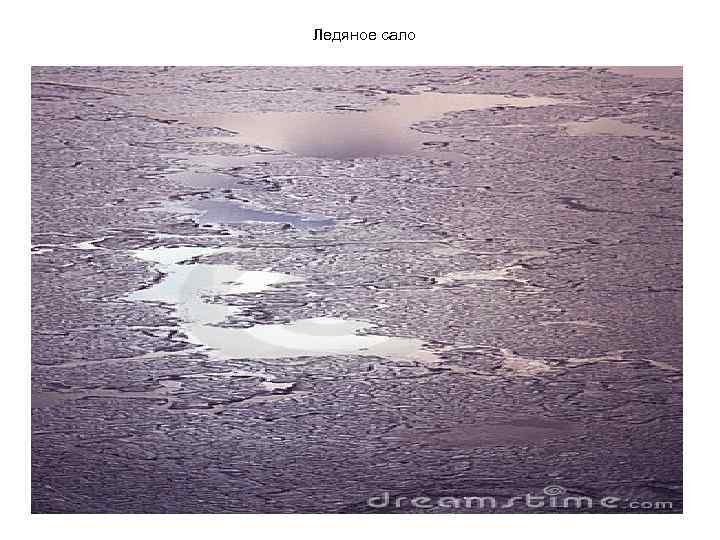 Ледяное сало 