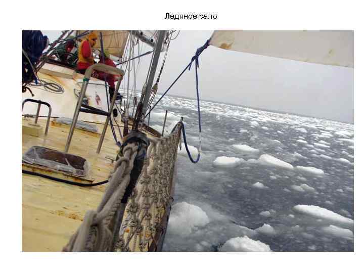 Ледяное сало 