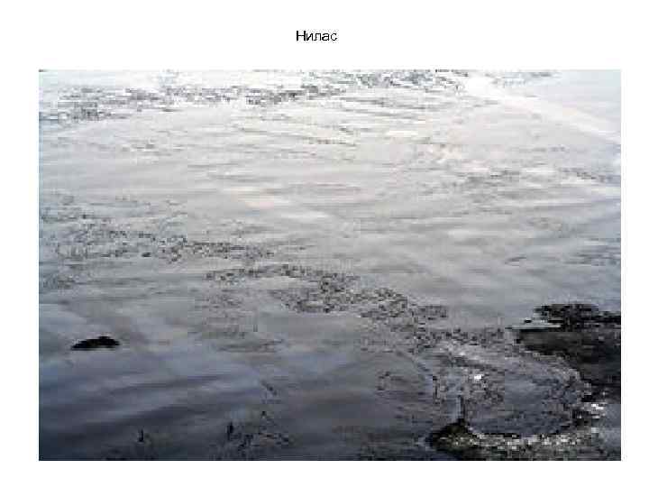 Нилас 