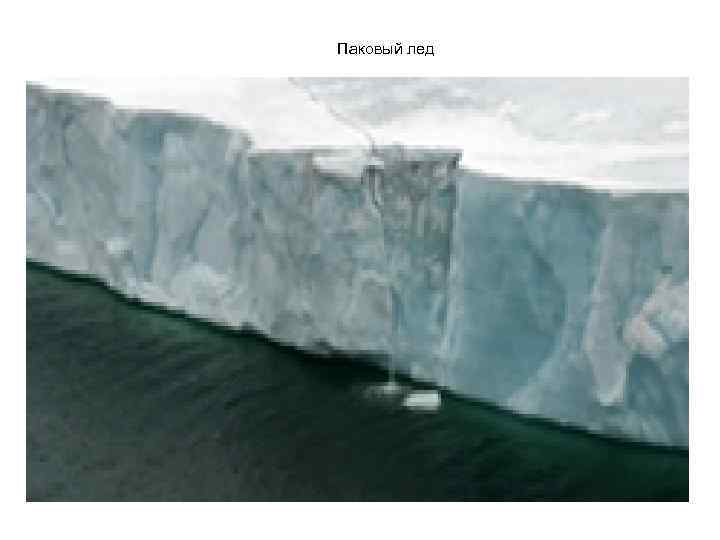 Паковый лед 