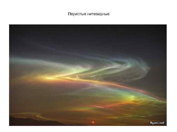 Перистые нитевидные 