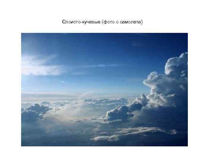 Слоисто-кучевые (фото с самолета) 