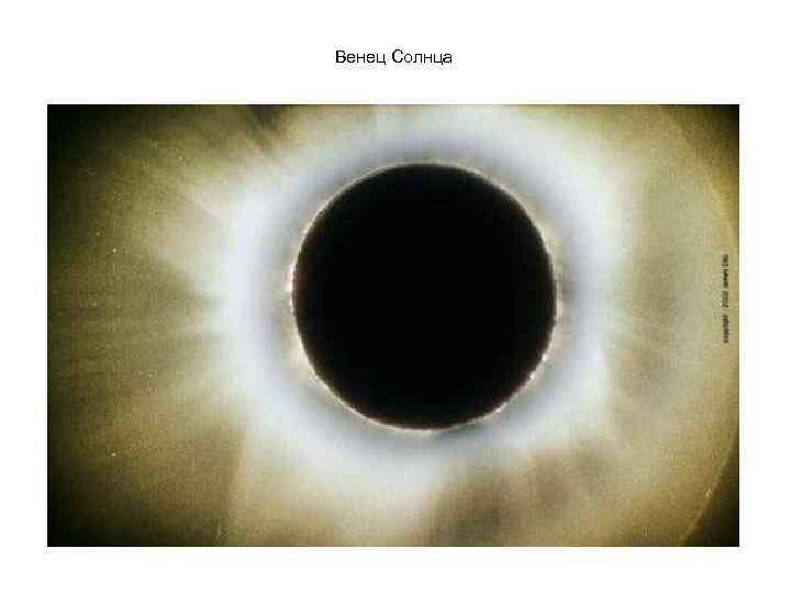 Венец Солнца 