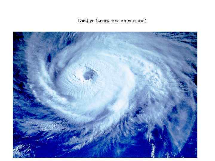 Тайфун (северное полушарие) 