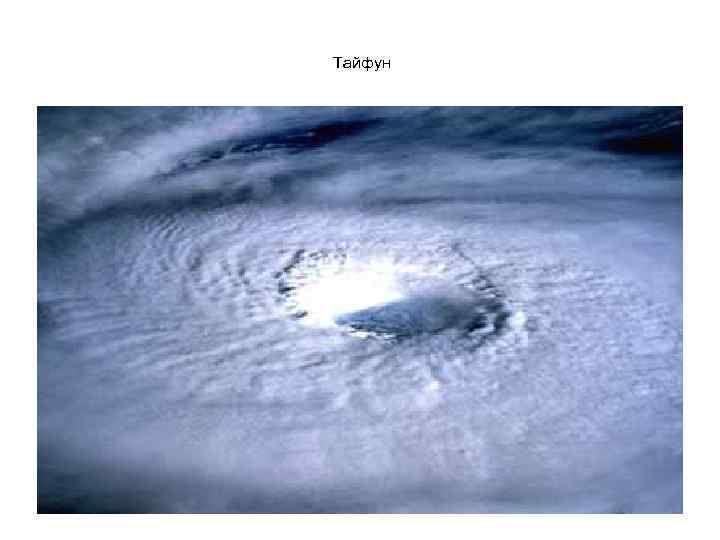 Тайфун 