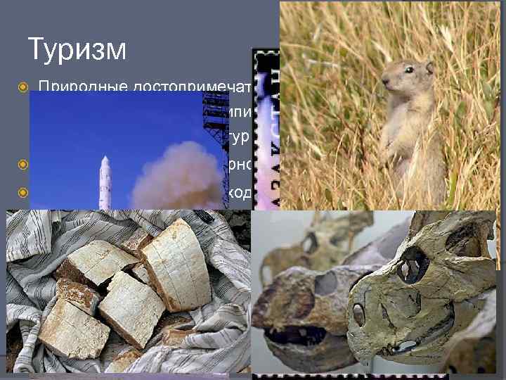 Туризм Природные достопримечательности: экологический туризм, велотуризм, джипинг, трекrинг, рыболовный, охота, спалавы, спелеотуризм, альпинизм Бальнеологический