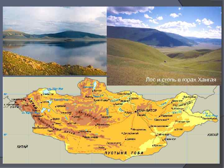 Вид на Хангай Лес и степь в горах Хангая 