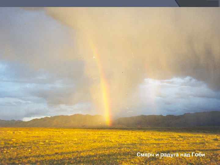 Участок песчаных барханов в Гоби Джида (лох) Эфедра (хвойник) Саксаул Тамариск Смерч и радуга