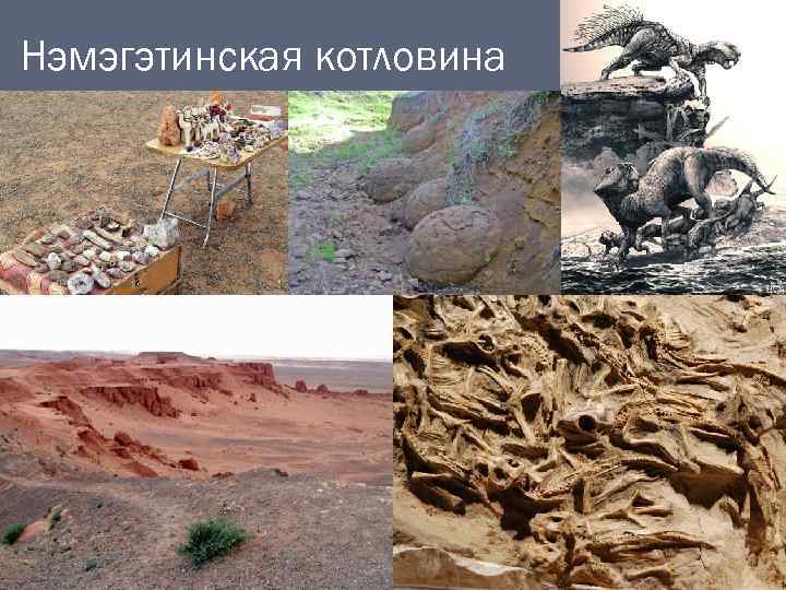 Нэмэгэтинская котловина 