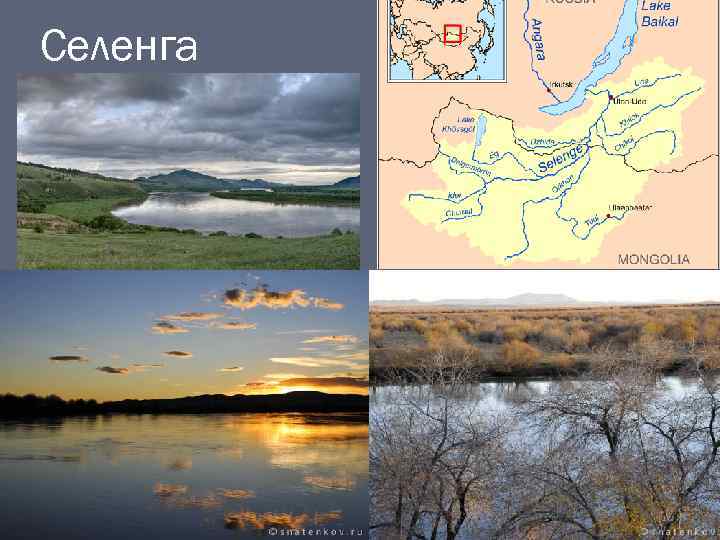 Селенга 