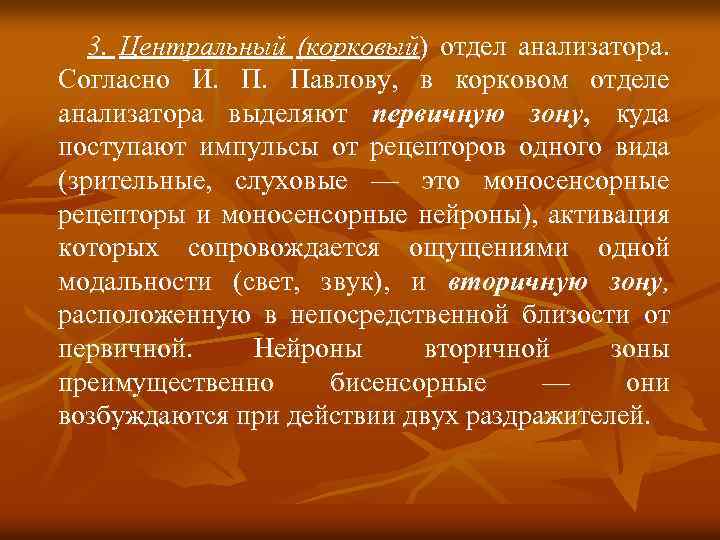 3. Центральный (корковый) отдел анализатора. Согласно И. П. Павлову, в корковом отделе анализатора выделяют