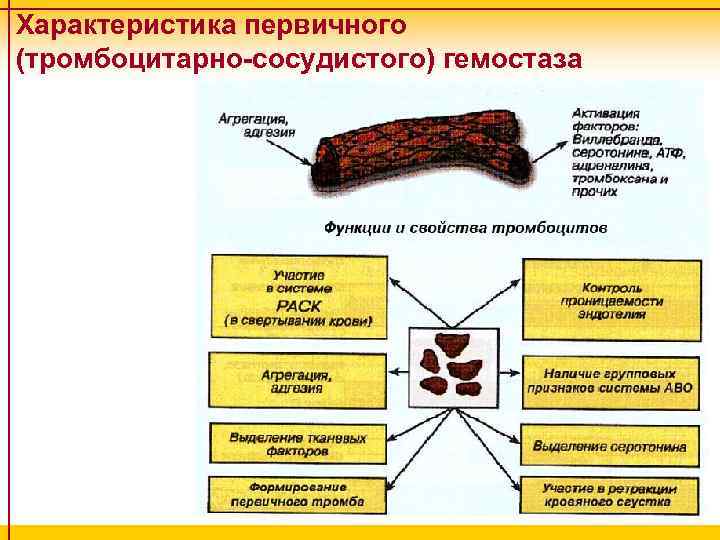 Первичный характер