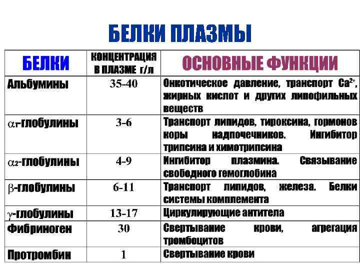 Белки плазмы. Белки плазмы крови таблица. Белки плазмы таблица. Белки плазмы, обладающие лечебным потенциалом. Основные белки плазмы и их функции.