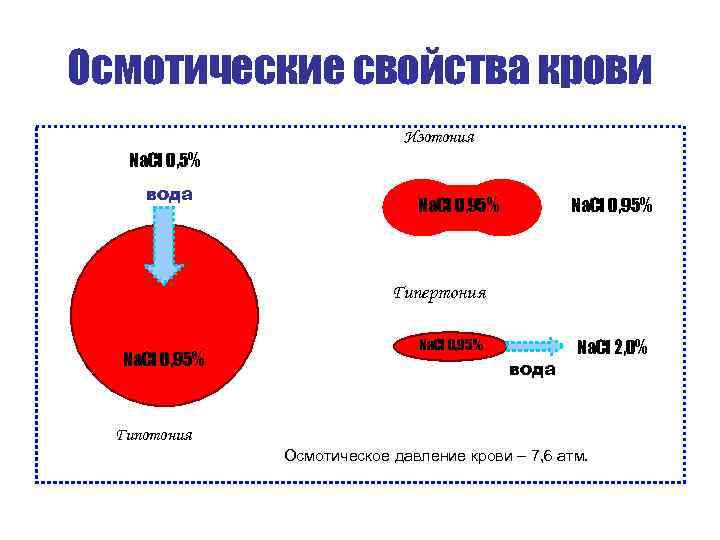 Осмотические свойства крови Изотония Na. Cl 0, 5% вода Na. Cl 0, 95% Гипертония