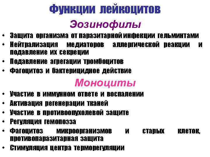 Функции лейкоцитов. Основная функция лейкоцитов. Лейкоциты функция в организме. Защитная функция лейкоцитов. Механизмы микробицидной функции лейкоцитов.