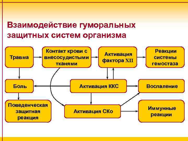 Взаимодействие гуморальных защитных систем организма Травма Контакт крови с внесосудистыми тканями Боль Поведенческая защитная