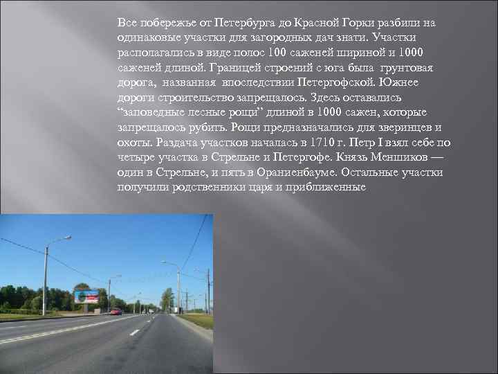 Все побережье от Петербурга до Красной Горки разбили на одинаковые участки для загородных дач