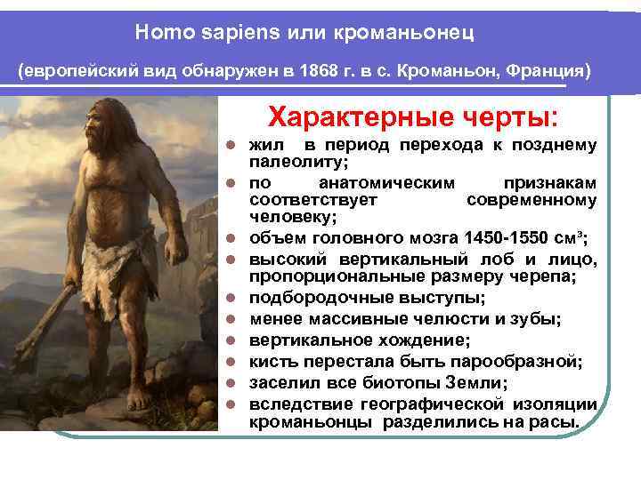 Homo sapiens краткая. Палеолит виды человека. Исторический Возраст кроманьонцев. Достижения первобытных людей. Доисторический первобытный период.