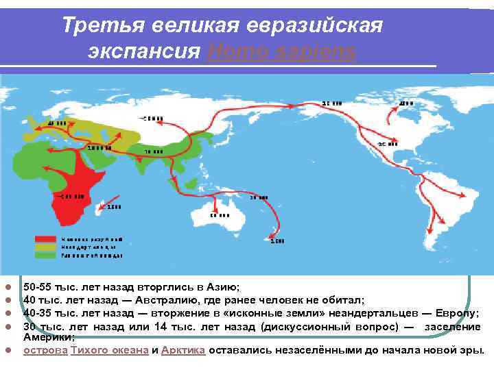 Третья великая евразийская экспансия Homo sapiens l l l 50 -55 тыс. лет назад