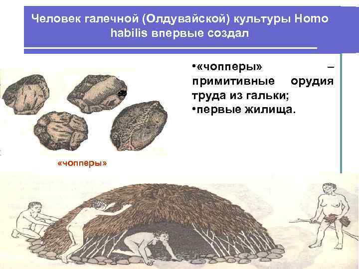 Человек галечной (Олдувайской) культуры Homo habilis впервые создал • «чопперы» – примитивные орудия труда