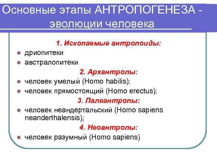 Основные этапы АНТРОПОГЕНЕЗА - эволюции человека l l l 1. Ископаемые антропоиды: дриопитеки австралопитеки