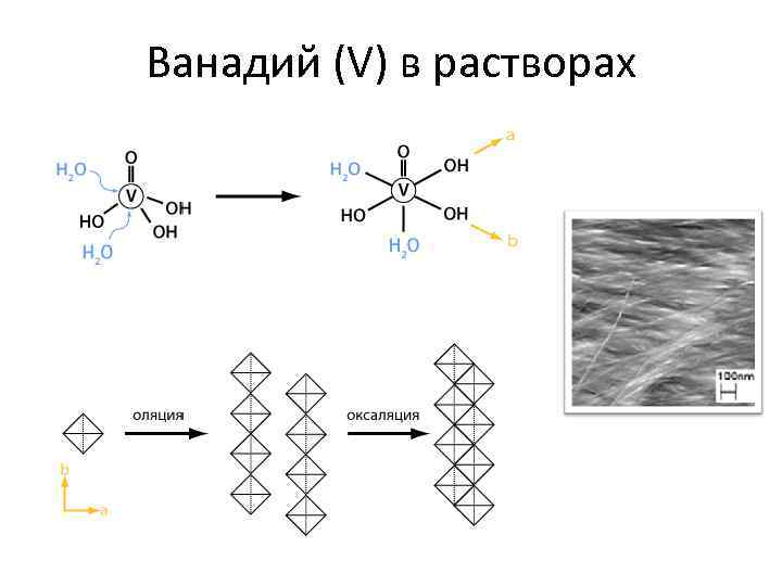 Ванадий (V) в растворах 