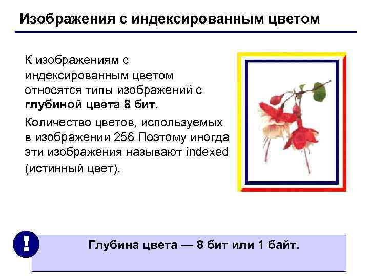 Изображения с индексированным цветом К изображениям с индексированным цветом относятся типы изображений с глубиной