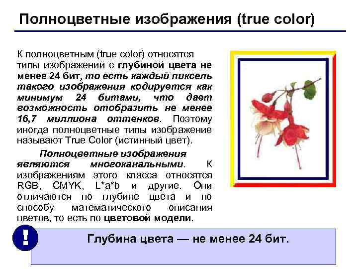 Полноцветные изображения (true color) К полноцветным (true color) относятся типы изображений с глубиной цвета