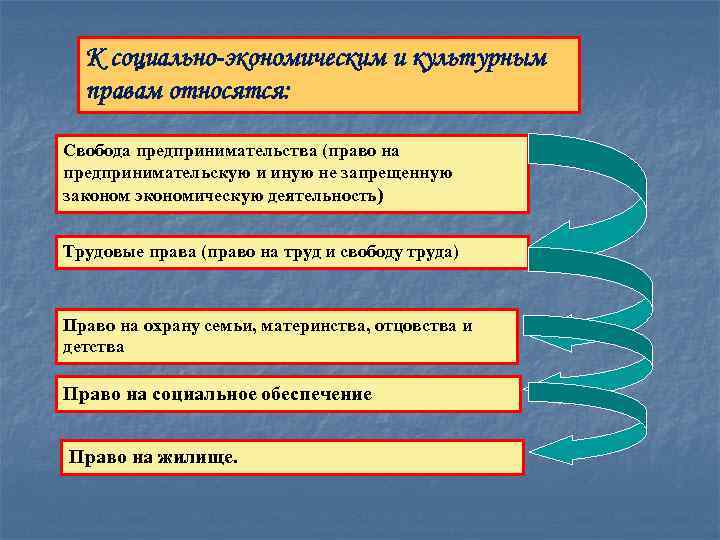 К социально-экономическим и культурным правам относятся: Свобода предпринимательства (право на предпринимательскую и иную не