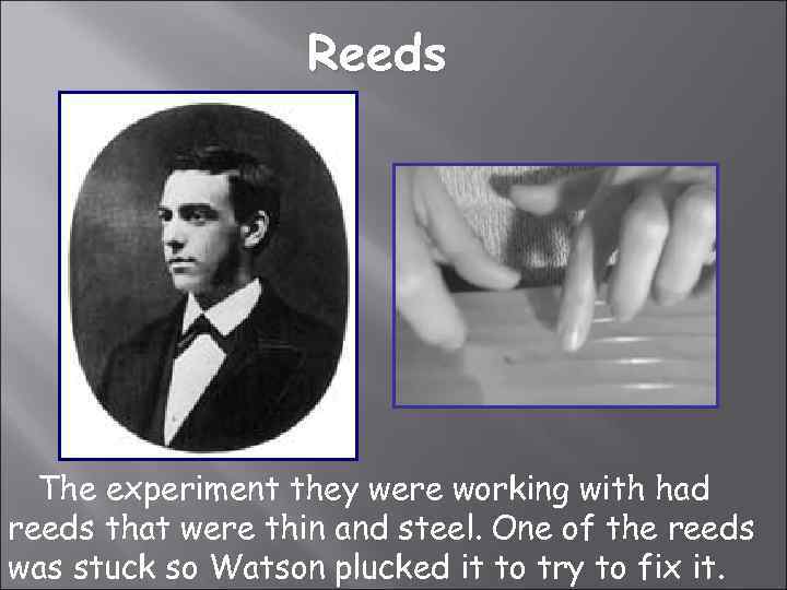 Reeds The experiment they were working with had reeds that were thin and steel.