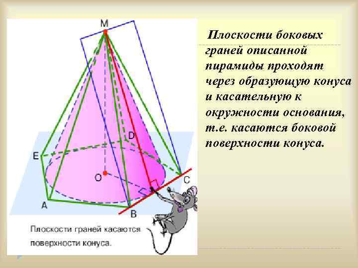 Плоскости боковых граней описанной пирамиды проходят через образующую конуса и касательную к окружности основания,