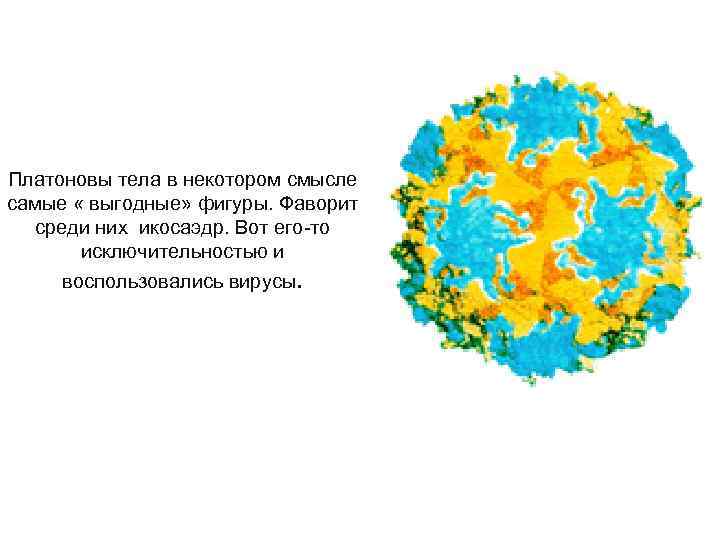 Платоновы тела в некотором смысле самые « выгодные» фигуры. Фаворит среди них икосаэдр. Вот