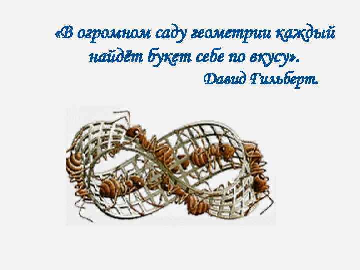  «В огромном саду геометрии каждый найдёт букет себе по вкусу» . Давид Гильберт.