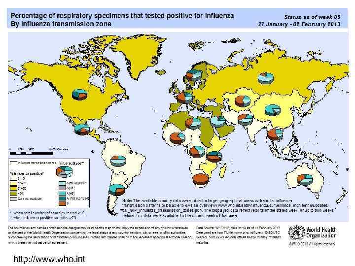 http: //www. who. int 