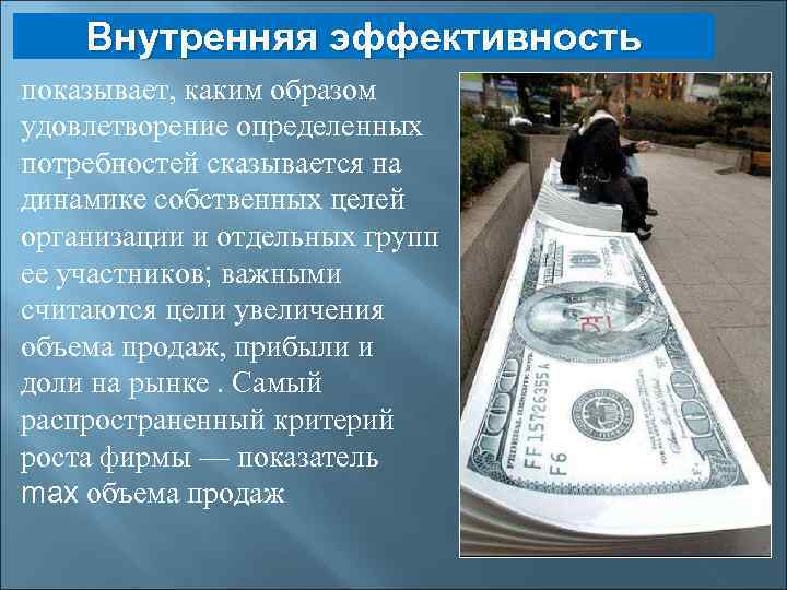 Внутренняя эффективность показывает, каким образом удовлетворение определенных потребностей сказывается на динамике собственных целей организации