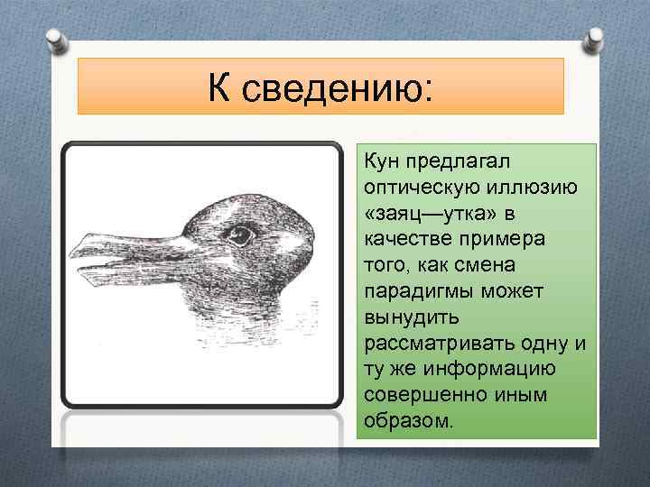 К сведению: Кун предлагал оптическую иллюзию «заяц—утка» в качестве примера того, как смена парадигмы