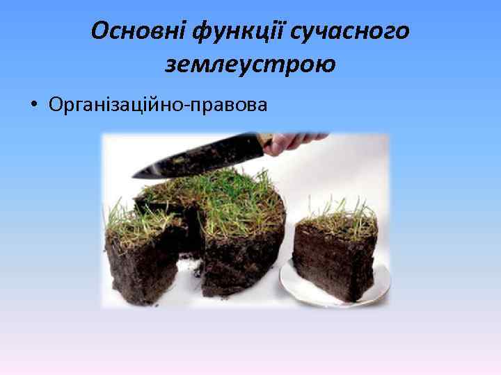 Основні функції сучасного землеустрою • Організаційно-правова 