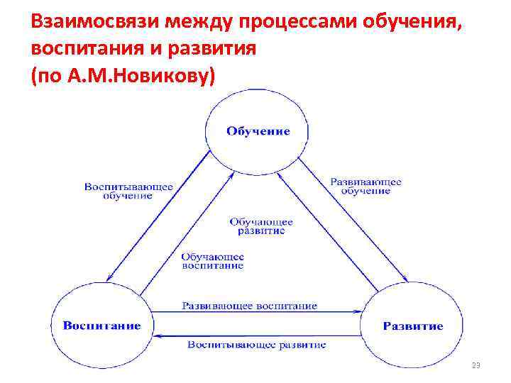 Взаимосвязи между процессами обучения, воспитания и развития (по А. М. Новикову) 23 