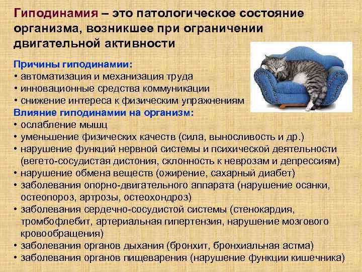 Гиподинамия – это патологическое состояние организма, возникшее при ограничении двигательной активности Причины гиподинамии: •
