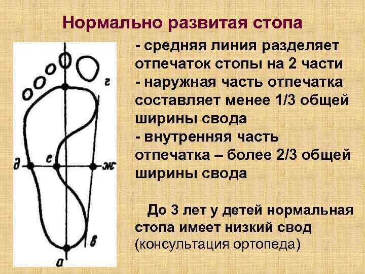 Нормально развитая стопа средняя линия разделяет отпечаток стопы на 2 части наружная часть отпечатка
