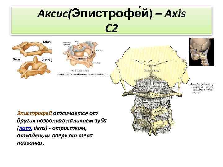 Аксис ситроен жукова