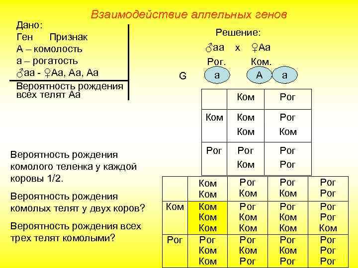 Взаимодействие аллельных генов Дано: Ген Признак А – комолость а – рогатость ♂аа -