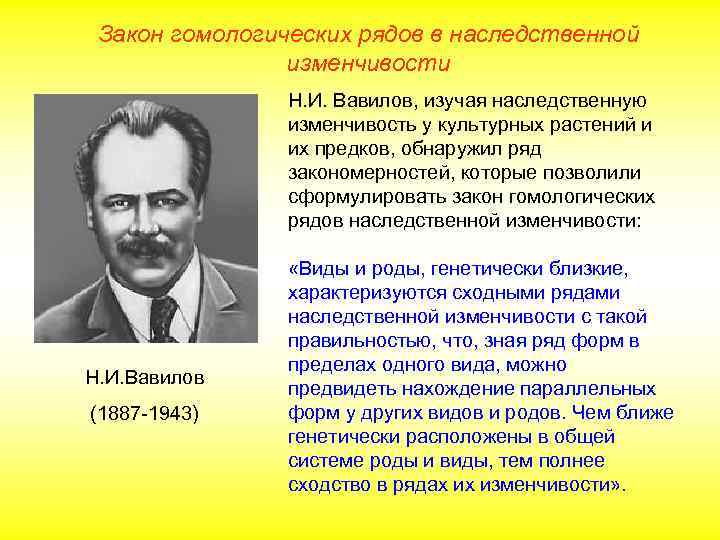 Закон гомологических рядов в наследственной изменчивости Н. И. Вавилов, изучая наследственную изменчивость у культурных