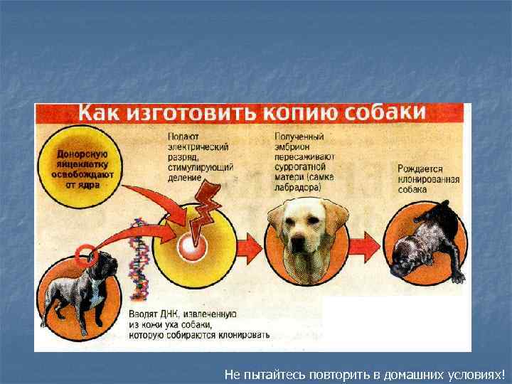 Не пытайтесь повторить в домашних условиях! 