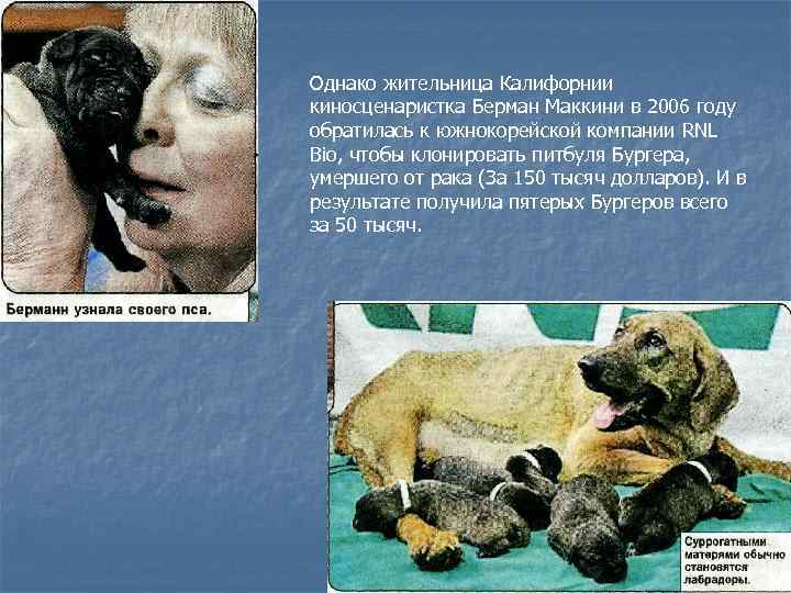 Однако жительница Калифорнии киносценаристка Берман Маккини в 2006 году обратилась к южнокорейской компании RNL